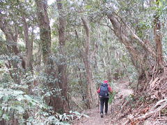 �}�e�o�V�C�т̋߂��ł�