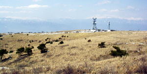 電波塔の後方が穂高岳です