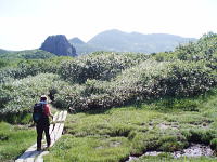 前方はガマ岩（左）と夕張岳