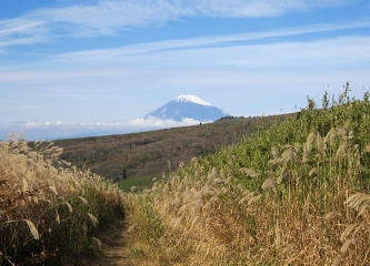 ススキと富士山：海ノ平から撮影