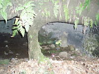 鎌倉独特の墳墓です