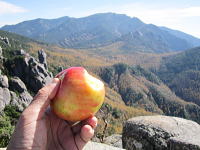 瑞牆山の山頂でリンゴを齧る