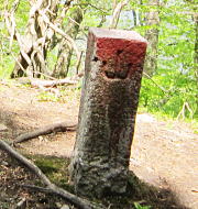 「山」と彫られてある。バックの雑木林側が国有林。
