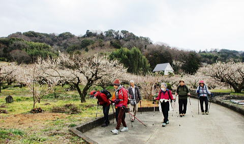 �}���Z���炫