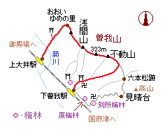 �]��u�˂̗��}