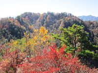 三笠山（下ヤツウチグラ）の山頂から諏訪山を望む