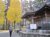 渋沢神社は大雀命と伊邪奈美命と須佐之男命が祀られているとのことです