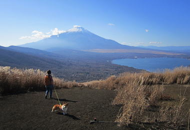 鉄砲木ノ頭から富士山と山中湖を望む