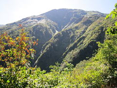 白樺尾根から撮影した武能岳