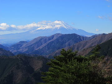 新茅ノ沢の奥・大倉尾根の頭上に富士山が・・・