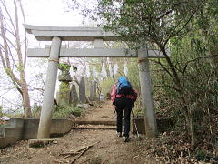 萬福寺の脇から鳥居を潜って仙元山コースへ進む