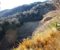 逢初川の上流