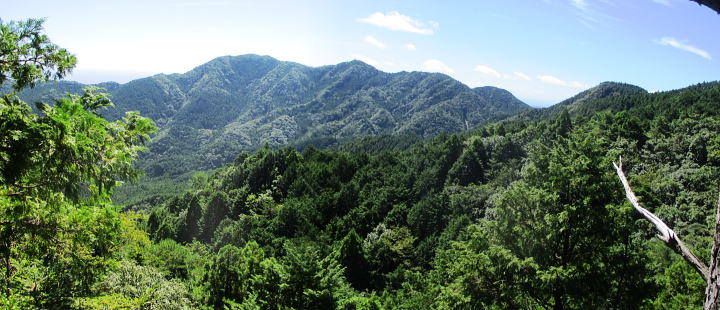 樹林の隙間から撮影