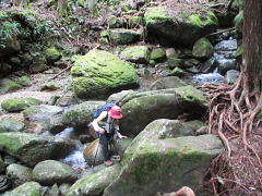 高田川の源流