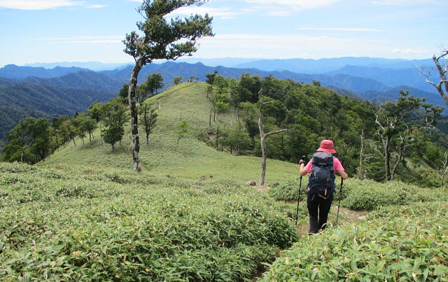 バックは紀伊山地の山々