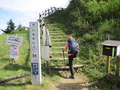 まず木段を登る