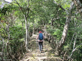 無実山の登りにて