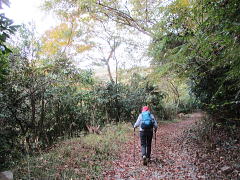 広河原林道