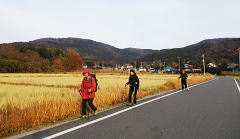 冬枯れの田園が美しい