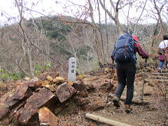 明るい山道
