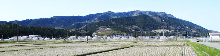 岩室温泉側から角田山を望む