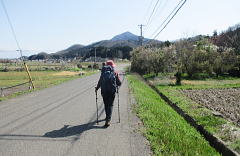 のどかな田園風景