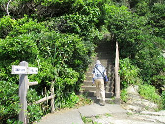 けっこう「自然」です