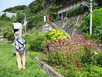 色々な草花が植栽されています