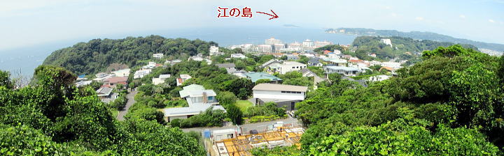 中央左奥が大崎
