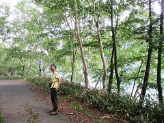 湖畔の遊歩道