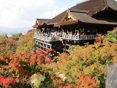 紅葉は1～2週間頃が盛りかも