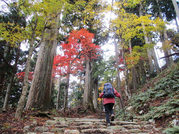 No.497「京都の愛宕山」へ