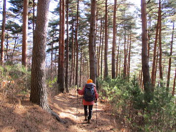 二本杉からの下山路にて