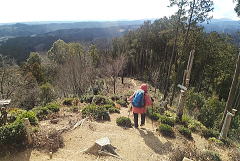 カモシカ新道を下る