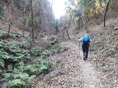 ホタル谷コースを登る