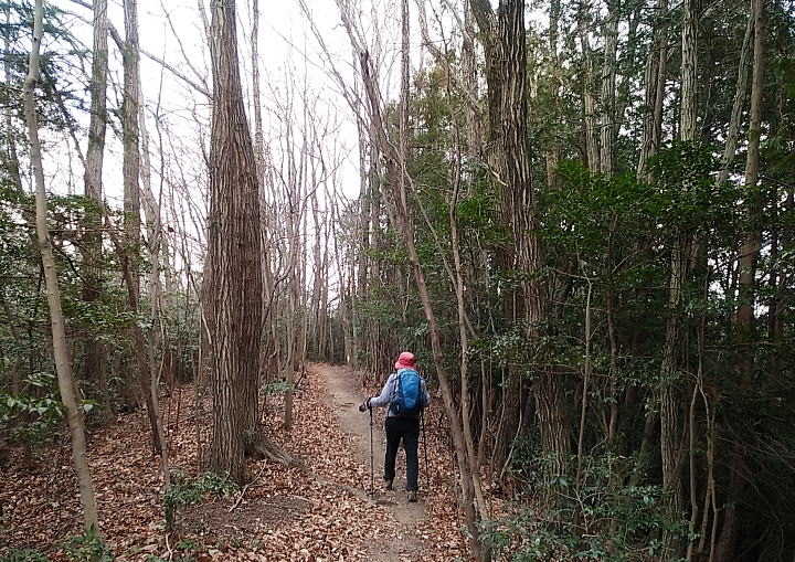 No.500「柏木山（飯能）」へ