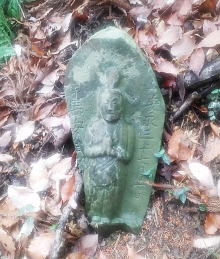 赤ぼっこから馬引沢峠への道端にて