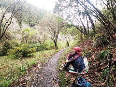 登山口～愛宕山分岐