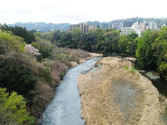 バックは青梅市街のビル群と奥多摩の山々