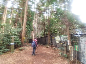 廃棄物処分場に沿って進む