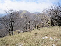 丹沢山の山頂にて：H24年4月に撮影