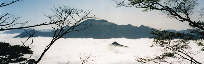 雲海に浮ぶ瓶ヶ森。その手前にチョコンと大森山。