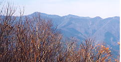 左より：雲取山、芋の木ドッケ、高丸山