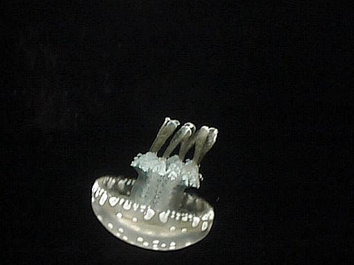 C[Wʐ^
