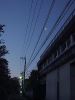 17.jpg 360x480