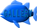 �ʐ^�W�̃y�[�W�ɃW�����v���܂�